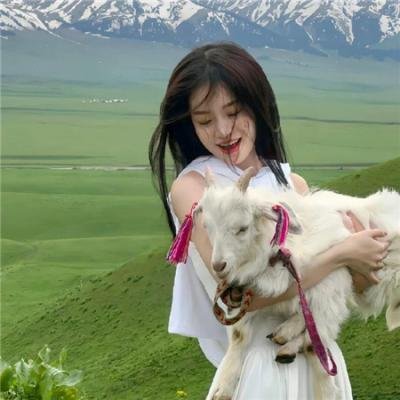 寻梦好莱坞
